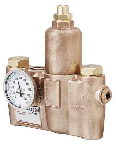 36 GPM Thermostatic Mixing Valve